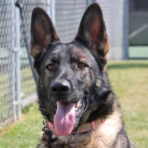 Meet your Posher, Raul